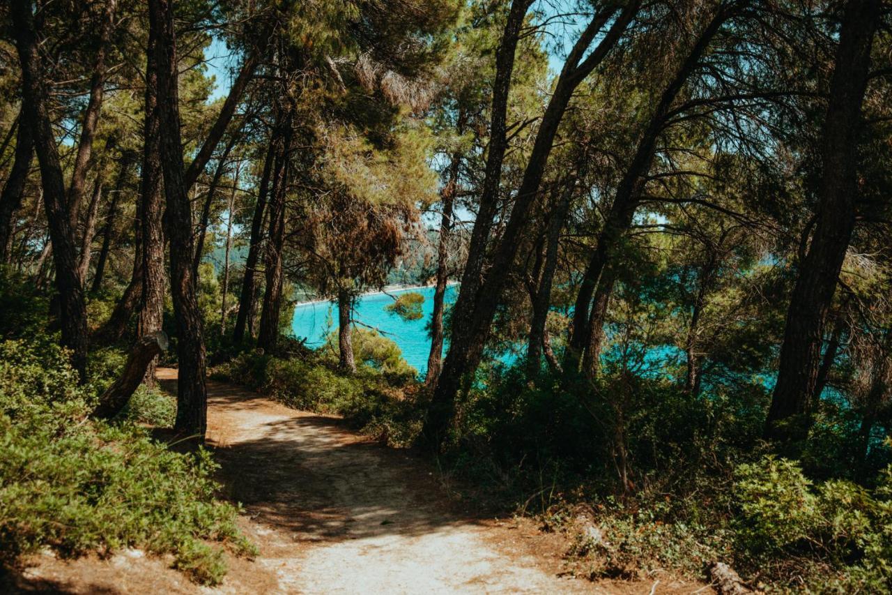 Beautiful Summerhouse In Sani'S Pine Forest Sani  Ngoại thất bức ảnh