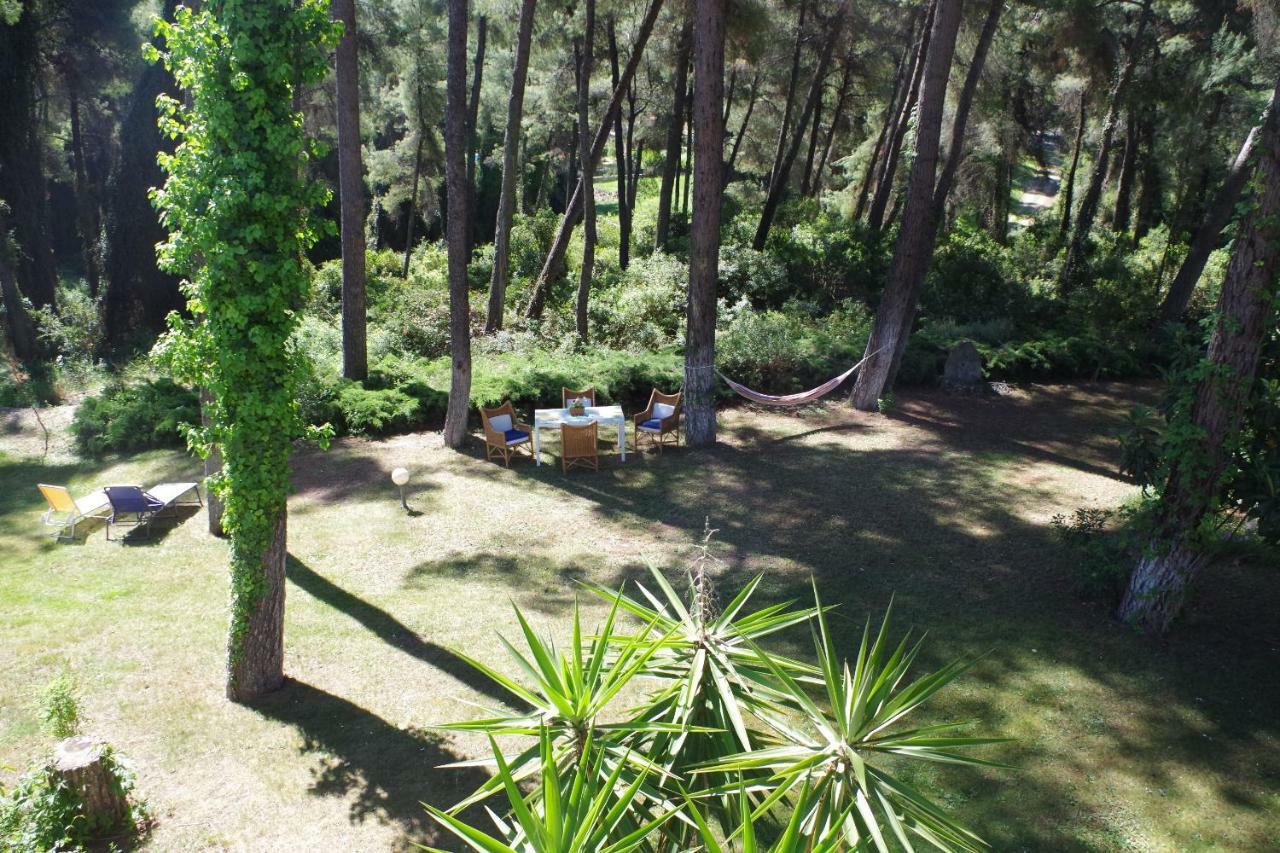 Beautiful Summerhouse In Sani'S Pine Forest Sani  Ngoại thất bức ảnh